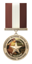 VanCom's Protector Medal (Pyrath-Aurora)